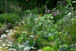 Predavanje z Jernejo Jošar: Trajnostno vrtnarjenje