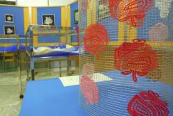 Razstava Novi Gorici za rojstni dan