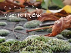 Napovedujemo v novembru