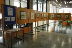 Likovna razstava Bože Bucik