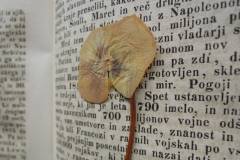 Natečaj Govorička za kratko prozo