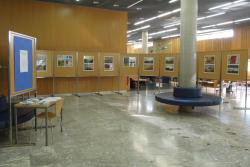 Rok Alboje, razstava fotografij