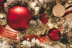 Čarobno-glasbeni decembrski večer