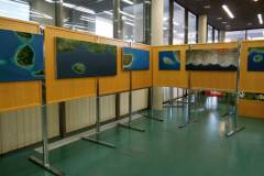 Likovna razstava Sonje Dizdar