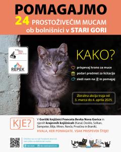 Zbiranje pomoči za prostoživeče muce