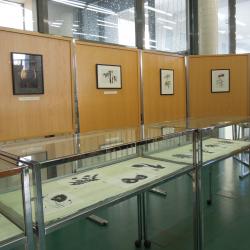 Razstava barvnih tiskov in fotografij