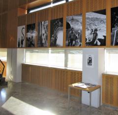 Razstava fotografij Jerneja Skrta