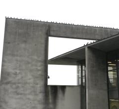 Delavnica: pticam prijazna stavba
