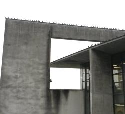 Delavnica: pticam prijazna stavba