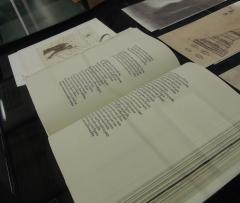 Poseben izvod Božanske komedije na ogled