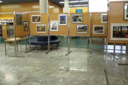 Lipicanci in barve jeseni