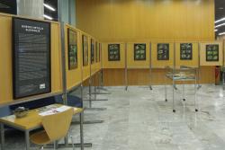 Dnevni metulji Slovenije, razstava