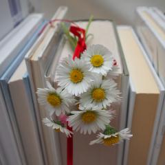 Predstavitveno srečanje Literars