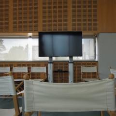 Poletna mladinska filmska matineja