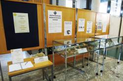 Fosili Trnovskega gozda