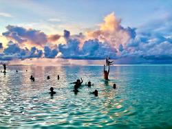 Pacifiški otoki z Mitjo Lavtarjem, na spletu
