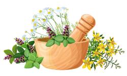 Predavanje: Zeliščni vrt