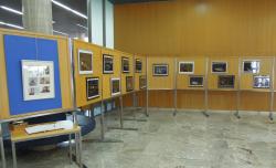 Fotografska razstava Tihožitje