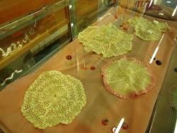 Razstava ročnih del Malih vitezov Primorske