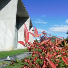 September v knjižnici