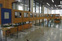 110 let Bohinjske proge