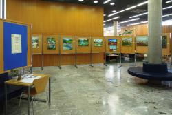 Likovna razstava Mostovi soške fronte