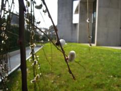 Gregorčki v atriju knjižnice