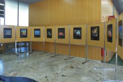 Razstava podvodnih fotografij