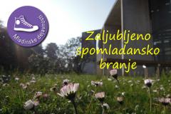 Zaljubljeno spomladansko branje