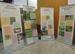 Razstava o invazivnih tujerodnih vrstah v gozdovih