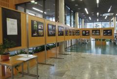 Roke, fotografska razstava DU Ajdovščina