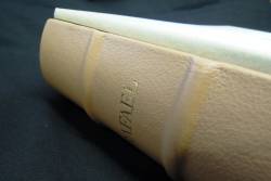 Ogled knjige Božanski Rafael